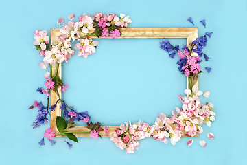 Image showing Spring Beltane Flower Decorative Background Frame