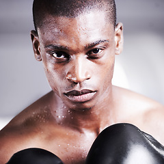 Image showing Boxing, gloves and portrait of black man with power, fitness and workout challenge at sports club. Strong body, face of athlete or warrior boxer in gym with sweat and confidence in competition fight.