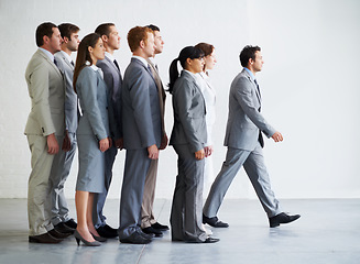 Image showing Businessman, employees and leader with worker, workforce, and ready for selection process. Employer, corporate accountant in suit and professional in workplace, people in background and confident