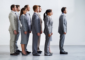Image showing Businessman, team leader and worker in workforce, ready for selection process and leadership. Employer, corporate accountant in suit and professional in workplace, people in office and confident