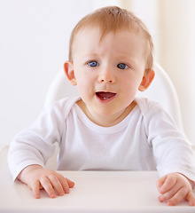 Image showing Children, hungry and a baby in a high chair for breakfast or feeding in the morning for growth or development. Kids, kitchen and an adorable infant child in a seat for health, diet or nutrition