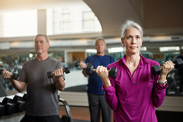 Image showing Senior fitness club, people and dumbbells at gym for training, health and wellness, sport or exercise. Class, workout and elderly group of friends at a studio for hand weight, cardio or weightlifting