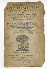 Image showing Antique medical page, information and library stamp for authorized knowledge on medicine study, health or research. Latin language, pathology and parchment paper for healthcare education literature