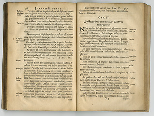 Image showing Book, antique and pages with knowledge, research and manuscript with paper, medical texts and history. Encyclopedia, volume lexicon and antique with archive, vintage and education with literature