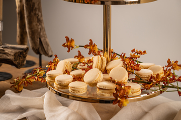 Image showing Sweet pastel colored macarons