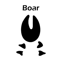 Image showing Boar Footprint