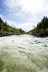 Image showing River Landscape