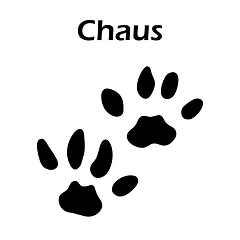 Image showing Chaus Footprint