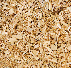 Image showing Woodchip Background