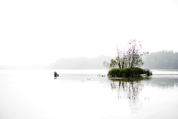 Image showing Peaceful Lake