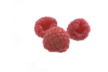 Image showing raspberry