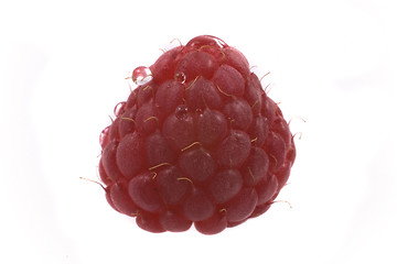 Image showing raspberry