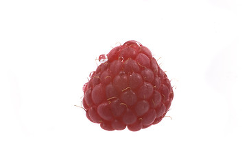 Image showing raspberry