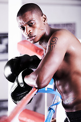 Image showing Boxing, gloves and portrait of black man in ring with fitness, power and workout challenge at sports club. Strong body, face of athlete or boxer in gym with sweat and confidence in competition fight.