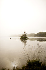 Image showing Peaceful Lake