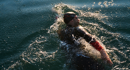 Image showing Triathlon athlete swimming on lake in sunrise wearing wetsuit