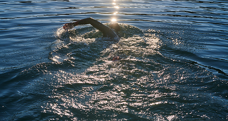 Image showing Triathlon athlete swimming on lake in sunrise wearing wetsuit