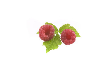 Image showing raspberry