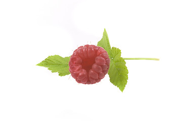 Image showing raspberry