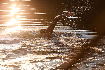 Image showing Triathlon athlete swimming on lake in sunrise wearing wetsuit