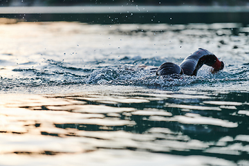 Image showing Triathlon athlete swimming on lake in sunrise wearing wetsuit