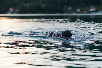 Image showing Triathlon athlete swimming on lake in sunrise wearing wetsuit