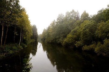 Image showing Fall Forest Fog