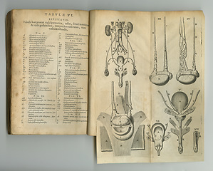 Image showing Antique medical book, sketch and study anatomy, human body drawing or reference page with organ explanation. Latin language, journal and vintage diagram for kidney healthcare medicine treatment