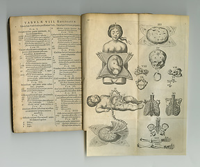 Image showing Antique medical book, sketch and paper drawing, human body graphic or reference page explain anatomy. Latin language, journal notes and vintage skeleton diagram for rustic education or medicine info