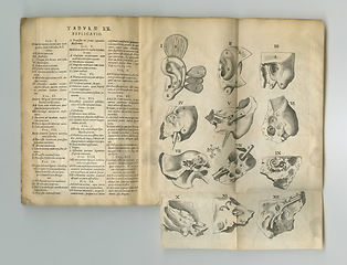 Image showing Old book, vintage and anatomy study of the ear, hearing or body parts in latin literature, manuscript or ancient scripture against a studio background. Historical novel, journal or illustrations