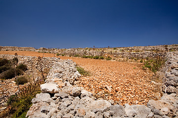 Image showing Rock field