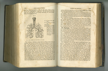 Image showing Old book, vintage and anatomy study of respiratory system in manuscript, ancient scripture or literature against a studio background. Historical novel, journal or illustration of trachea and lungs