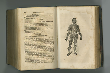 Image showing Old book, vintage and anatomy of human muscle or body in literature, manuscript or ancient scripture against a studio background. History novel, journal or medical figure for the study of flesh