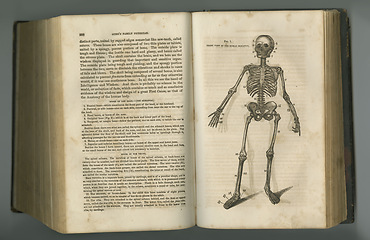 Image showing Old book, vintage and anatomy of skeleton bones or parts in literature, manuscript or ancient scripture against a studio background. History novel, journal or text in study of the human body