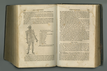 Image showing Old book, vintage and anatomy of human body, veins or muscles in literature, manuscript or ancient scripture against a studio background. History novel, journal or illustration of study or research