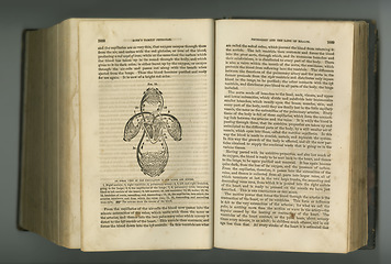 Image showing Old book, vintage and medical journal for health study or anatomy in manuscript, ancient scripture or literature against a studio background. Historical novel or figure of body artery or research