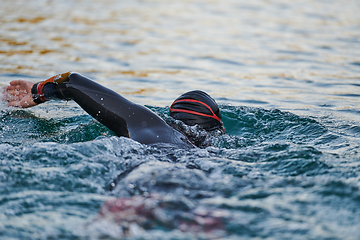 Image showing Triathlon athlete swimming on lake in sunrise wearing wetsuit