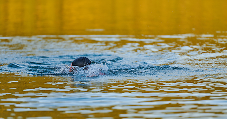 Image showing Triathlon athlete swimming on lake in sunrise wearing wetsuit