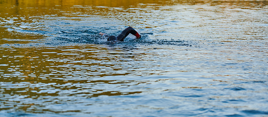 Image showing Triathlon athlete swimming on lake in sunrise wearing wetsuit