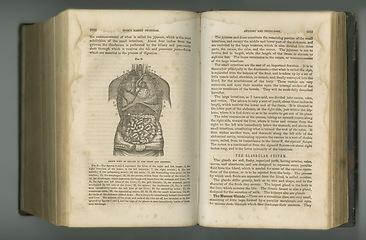 Image showing Old book, vintage and anatomy study of digestive system in manuscript, ancient scripture or literature against a studio background. Historical novel, journal or medicine of body digestion glands