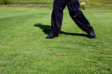 Image showing Golf Swing