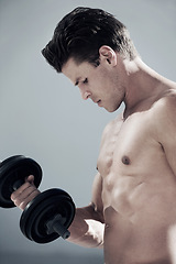 Image showing Challenge, muscles and man with dumbbell weight in studio for bodybuilding workout, exercise or training. Sports, health and young male athlete from Canada with equipment isolated by gray background.
