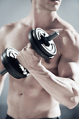 Image showing Fitness, weight and closeup of man with muscles doing workout in gym for bodybuilding training. Sports, exercise and zoom of person from Canada with dumbbell equipment for health in wellness center.