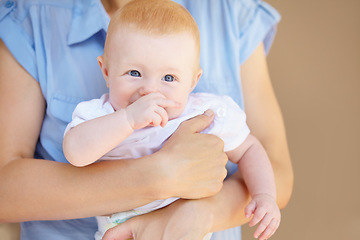 Image showing Parents hands, baby and family support, safety and carry newborn child, youth care or maternity. Toddler security, protection and person holding young infant together for trust bond, comfort or love