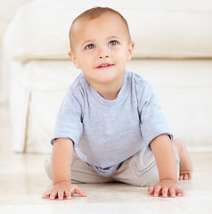 Image showing Cute, sweet and young baby at his home playing for child development and growth. Face, youth and happy boy newborn, infant or kid having fun and crawling on the floor in living room of a modern house