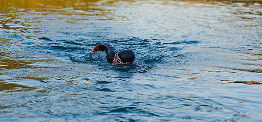 Image showing Triathlon athlete swimming on lake in sunrise wearing wetsuit