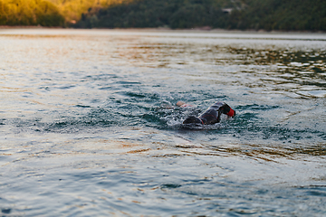 Image showing Triathlon athlete swimming on lake in sunrise wearing wetsuit