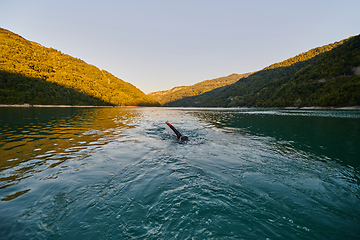 Image showing Triathlon athlete swimming on lake in sunrise wearing wetsuit