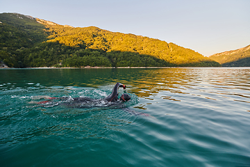 Image showing Triathlon athlete swimming on lake in sunrise wearing wetsuit