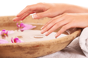 Image showing Woman nails, hands and water for manicure, skincare or cosmetics in zen, beauty or salon spa treatment. Closeup of female person wet fingers in bowl of natural mineral liquid with flowers in wellness